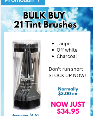 BULK BUY 21 Tint Brushes