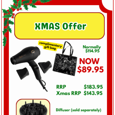 XMAS Offer (Dryer + Gift Bag)